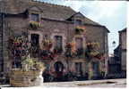 56 - MORBIHAN -;ROCHEfORT-EN-TERRE - Le Puits Et La Maison Aux Géraniums   - DENTELEE - Rochefort En Terre