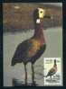 Venda 1987 Waterfowl Maxicard - Canards