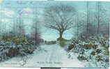Winter Scene In Reigate 1908 Publ. View & Portrait Co - Surrey