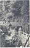 Shanklin Chine, Isle Of Wight 1913 Aldwych Series - Andere & Zonder Classificatie