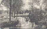 Recreation Ground W. Little Children To The Left, Chelmsford, Photo Fred Spalding, Chelmsford C 1905 - Otros & Sin Clasificación