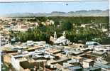 LAGHOUAT - Vue Centrale Prise Du Marabout De Sidi-Abdelkader - Laghouat