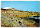 BRETIGNOLLES - Plage De La Sauzaie - Bretignolles Sur Mer