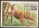 France  Carte Maximum Ref 8 Renard   18.6.1988 - Animalez De Caza