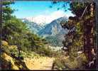 CP De VERNET-LES-BAINS " Vue Générale Pittoresque " . - Prades