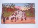 Japan -Tokyo - Ueno Park - Ishidan   - Animated - Cca 1910´s  VF  -D49082 - Tokio