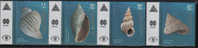 2008 ARGENTINA SHELLS 4V - Unused Stamps