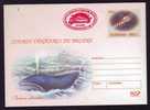 WHALE BALEINE- Hunting,entier Postal Stationery 190/2003,PMK BUCHAREST  2003 RED RARE. - Baleines