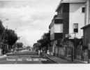 TORTORETO LIDO   -  Viale Delle Sirene  - VG 1966   (221) - Teramo