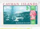 Cayman - Spruzzo, Costa, Roccia - BLOWHOLES On Coast, Cliffs - 1v. ** - Isole