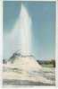 Castle Geyser,  Yellowstone Park USA, 1902 Detroit Photographic Co. Vintage Postcard #8803 - Parques Nacionales USA