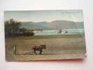 E-Hartmann's Rural Series - O'er The Glad Waters - Horses -cheval  Cca 1906- -  G  D49575 - Landwirtschaftl. Anbau
