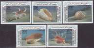 Comoro Is ( COMORES ). Sc609-13 Sea Shells - Conchas