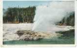 Mortar Geyser, Yellowstone National Park Detroit Photographic Co. #12047 C1910 Vintage Postcard - USA National Parks