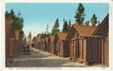 Yellowsonte Park Lodge Co. Sleeping Cabins, Yellowstone Park, Haynes Publisher #28188 On 1920 Vintage Postcard, Lodging - USA Nationalparks