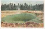 Emerald Spring Upper Geyser Basin, Yellowstone Park, Detroit Photographic Co. #10725 1910s Vintage Postcard - USA National Parks