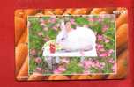 Japan Japon  Telefonkarte Télécarte Phonecard Telefoonkaart  231- 273 Rabbit  Hase  Kaninchen  Lapin - Lapins