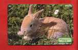 Japan Japon  Telefonkarte Télécarte Phonecard Telefoonkaart  231 - 143  One Punch  Rabbit  Hase  Kaninchen  Lapin - Lapins