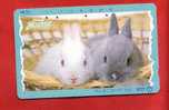 Japan Japon  Telefonkarte Télécarte Phonecard Telefoonkaart  331 - 027   Rabbit  Hase  Kaninchen  Lapin - Conejos