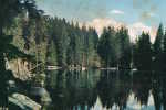 74 / Passy. Le Lac Vert. Miroir Du Mont Blanc - Passy