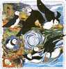 PUZZLE DE 6 TARJETAS DE JERSEY DE PAJAROS-BIRD  (FRAILECILLO) - Puzzles