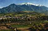 66 PRADES Et Le Massif Du Canigou (alt 2785m) - Prades