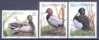 Luxembourg Sc1031-3 Bird. Ducks, Canard - Anatre