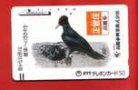 Japan Japon  Telefonkarte   - Nr. 110 -  011   Bird Vogel Oiseau   Balken  Front Bar  Schalterkarte - Passereaux