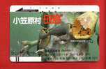 Japan Japon  Telefonkarte   - Nr. 110 -  10552   Bird Vogel Oiseau   Balken  Front Bar  Schalterkarte - Songbirds & Tree Dwellers