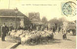 PANTIN - Un Troupeau De Moutons à L'Octroi - Voy. 1905, Parfait état - Pantin