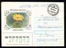 RUSSIA 1992 Enteire Postal Stationery Cover Circulated With Cactusses. - Sukkulenten