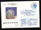 RUSSIA Tiraspol  1991 Enteire Postal Stationery Cover Circulated With Cactusses. - Cactusses