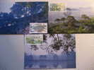 CHINA CHINE 1991 Pintura Paint Templos Temples Puentes Bridges Isla River Rio 4 MAXIMA Maximum Card Carte - Isole