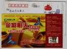 Parrot Bird,China 2009 Life Insurance Chengdu Branch Advertising Pre-stamped Card - Perroquets & Tropicaux