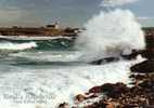 Neil's Harbour - Cape Breton - Phare Lighthouse - Nova Scotia Nouvelle-Écosse - Neuve Mint - Cape Breton