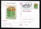 ROMANIA 1997 PMK , Entier Postaux Stationery POSTCARD,with Cactusses,cactus.(A2) - Cactussen