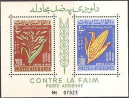 AFGHANISTAN..1963..Michel #  Block 39...MNH. - Afganistán