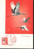 1968  Japon Carte Maximum  Oiseaux   Grus - Kranichvögel