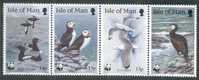 Isle Of Man Sc399-402 World Wildlife Fund. Bird, Oiseaux D'eau - Marine Web-footed Birds