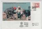 Greenland FDC Queen Margrethe Complete 24-10-1974 Sent To Denmark Home Made Covers - Other & Unclassified