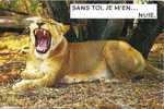 Lion : "Sans Toi Je M'en...nuie" - Leones