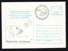 Bear Ours Rare Cover STATIONERY PMK 1996, ROMANIA. - Bears