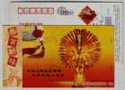 Thousand Hands Guanyin,disabled People Art,CN 08 Nanping Federation Of The Handicapped People Advert Pre-stamped Card - Handicaps