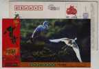 Egret Bird,China 2009 Wuning Landscape Advertising Pre-stamped Card - Cigognes & échassiers