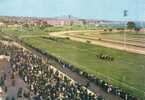 CpF0878 - CAGNES - CROS DE CAGNES - L'Hippodrome De La Cote D'Azur - (06 - Alpes Maritimes) - Cagnes-sur-Mer