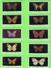 CARTES CIGARETTES CARDS - GODFREY PHILIP LTD - BRITISH BUTTERFLIES - COMPLETE SET OF  25 - DESCRIPTIONS IN THE BACK - - Phillips / BDV