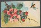 BEE, HONEYBEE ON BRIER, VINTAGE IMPERIAL RUSSIAN POSTCARD - Insects