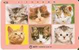TARJETA DE JAPON DE VARIOS GATOS (CAT-CHAT-GATO) - Katzen