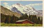 SUISSE BE Wengen Jungfrau Cpa Couleur - Wengen