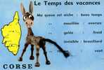 20 CORSE LE TEMPS DES VACANCES  ANE - Other & Unclassified